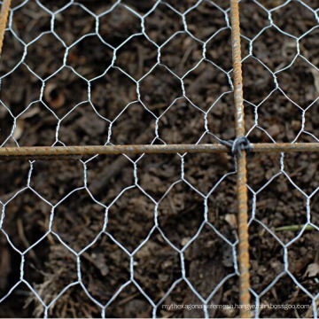 Hot-Dipped Galvanized After Weaving Hexagonal Chicken Wire Netting